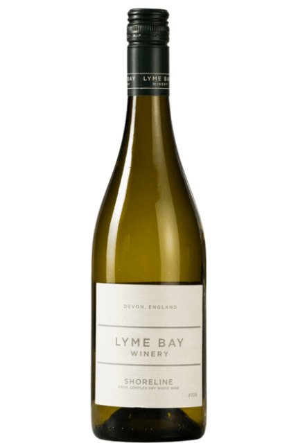Lyme Bay Shoreline 2021