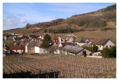 Burgundy village and vineyard by Wines With Attitude
