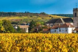 7 facts to help make sense of Burgundy wine