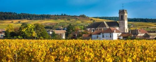 Burgundy wines by Wines With Attitude