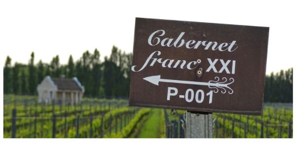 Cabernet Franc by Wines With Attitude