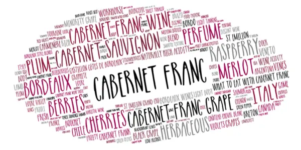 Word bubble about Cabernet Franc and its characteristics
