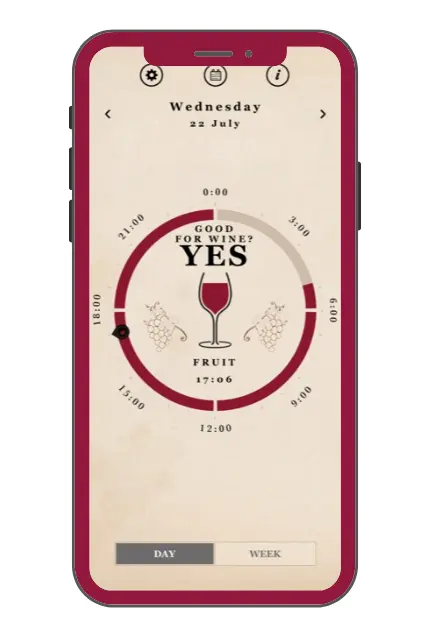 A screenshot from an app showing a sketch of a glass of red wine and captioned "Good for wine? Yes. Fruit"