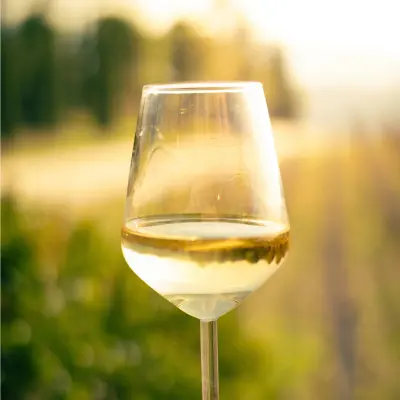 Glass of white wine in the foreground with backdrop of vineyards
