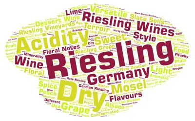Word bubble about Riesling grapes and wine