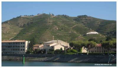 Steep Rhone vineyards by Wines With Attitude