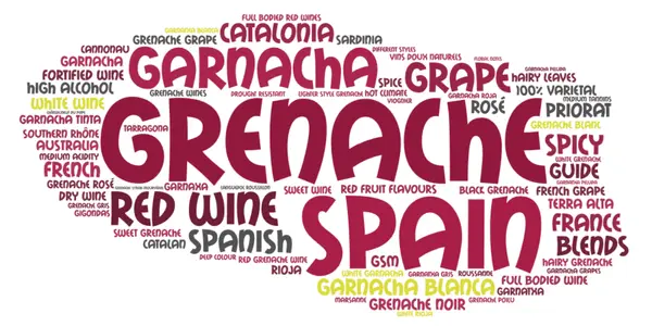 Word bubble predominantly in sghades of burgundy about the Grenache grape and wines