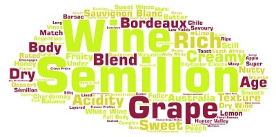 Word bubble in yellow, lime and burgundy colours about Semillon grape and wines