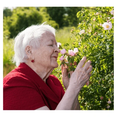 Sense of smell can deteriorate by Wines With Attitude