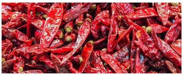 A pile of dried red hot chilli peppers
