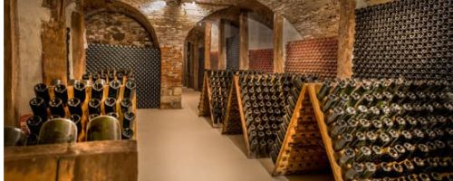 Champagne aging in bottle in a cellar
