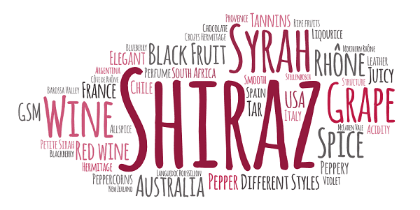 The Shiraz Syrah grape and wine by Wines With Attitude