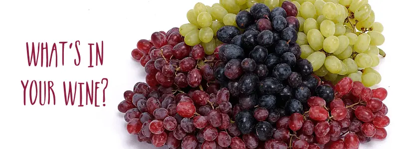 Some red, black and green grapes captioned "What's in your wine?"