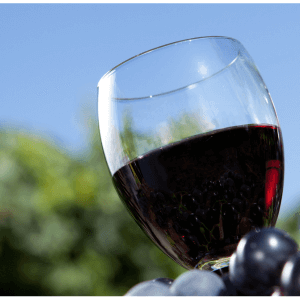 Lowering alcohol levels in wine