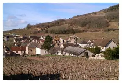 Village of Santenay and its vineyards