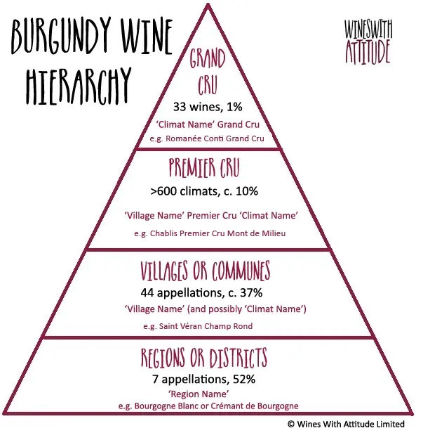 Diagram of Burgundy wine classification hierarchy by Wines With Attitude