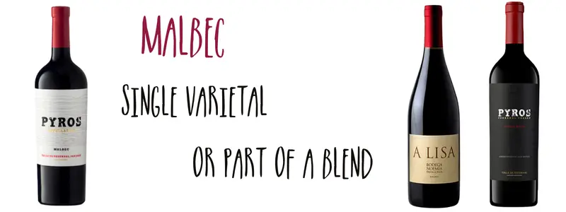 Three bottles of premium Malbec captioned "Malbec - Single Varietal or part of a blend"