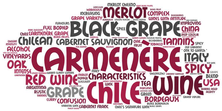 Word Art bubble about the Carmenere grape