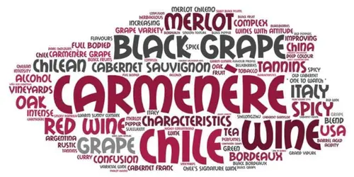 Word Art bubble about the Carmenere grape