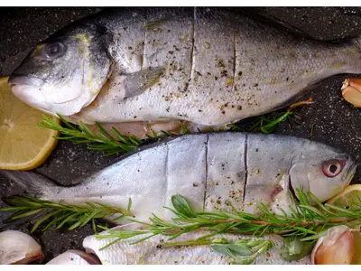 Three fresh fish on a dark coloured background with some lemon slices and fresh green herbs