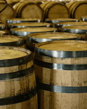 Wine barrels lined up in a cellar