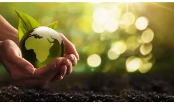 Hands holding a small green globe with a light shining on it from the background