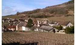 Village of Santenay and its vineyards