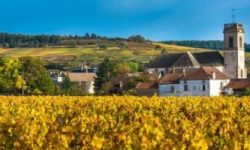 6 facts to help make sense of Burgundy wine