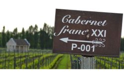 Cabernet Franc by Wines With Attitude