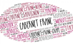 Word bubble about Cabernet Franc and its characteristics