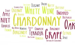 Word bubble about the Chardonnay grape and wine