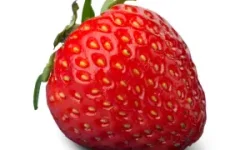 A strawberry on a white background