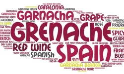 Word bubble predominantly in sghades of burgundy about the Grenache grape and wines