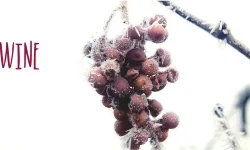 Frosty grapes captioned "Ice wine"