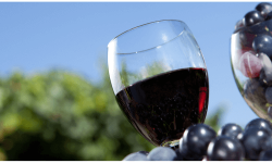 Lowering alcohol levels in wine