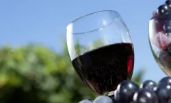 A glass of red wine and a glass filled with black grapes against a bright blue sky and some green trees