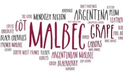 A wordart bubble with significant words relating to the Malbec grape and its wines