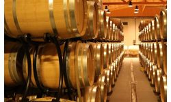 A guide to oaked and unoaked wine