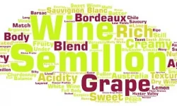 Word bubble in yellow, lime and burgundy colours about Semillon grape and wines