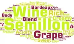 Guide to the Semillon grape & wines