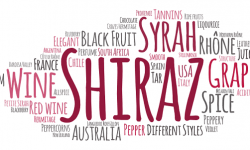 The Shiraz or Syrah grape and wines