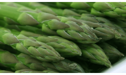 The Best Wines to Drink with Asparagus