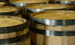 Wine barrels lined up in a cellar